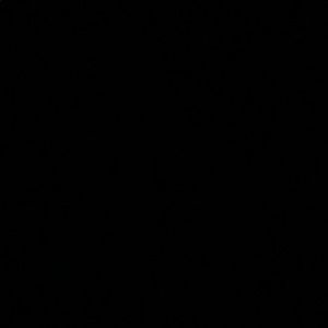 Meet your Posher, Raven